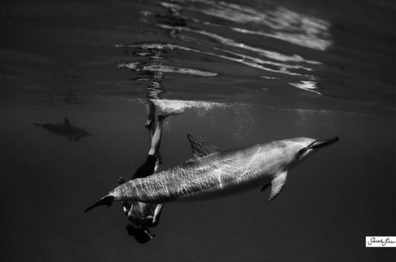 Illustration for article titled The beautiful and surreal sensuality of Sarah Lee's underwater photos